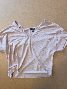 Express Cropped V-Neck Short Sleeve Top in Light Mauve